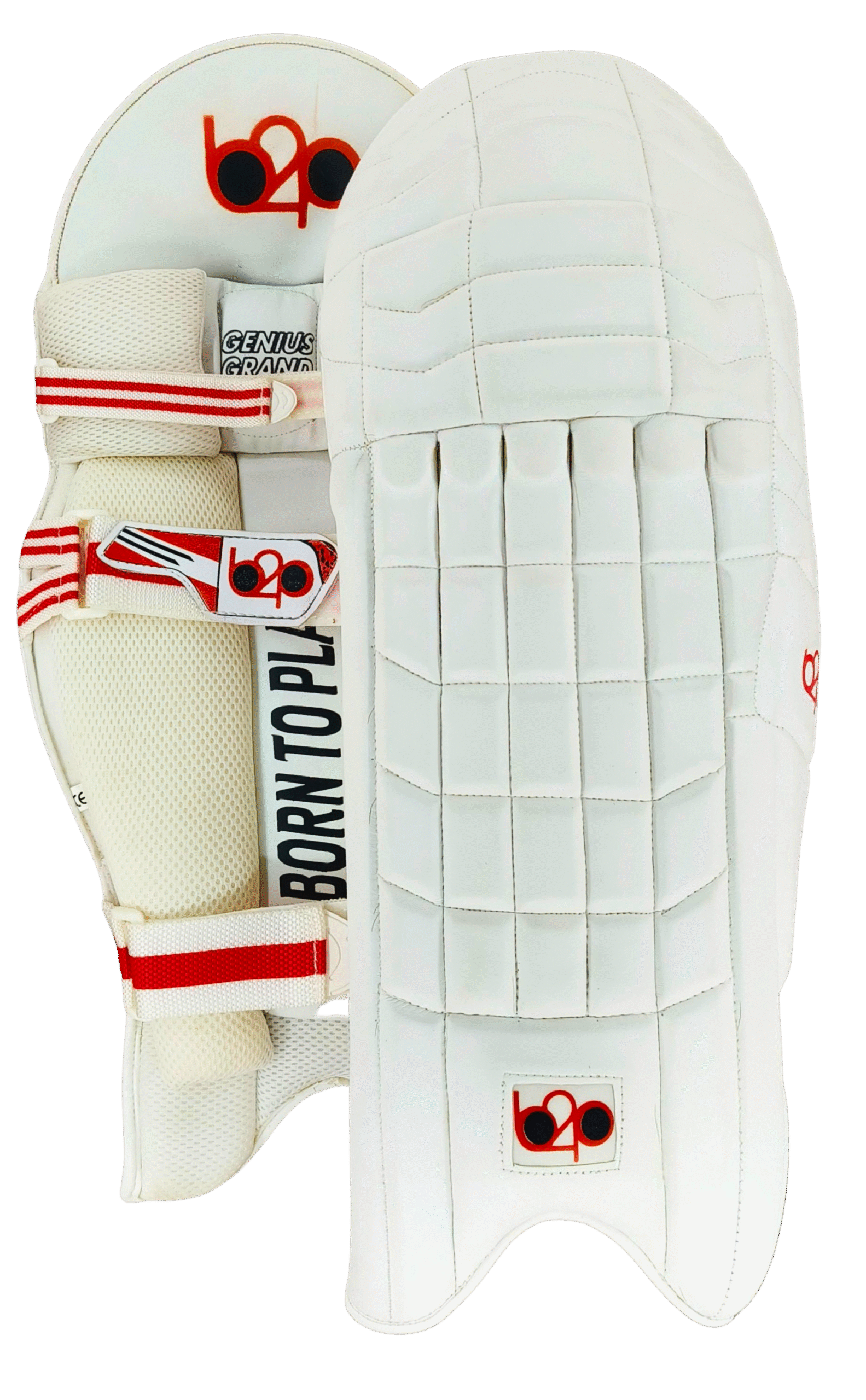 BATTING PADS - T20
