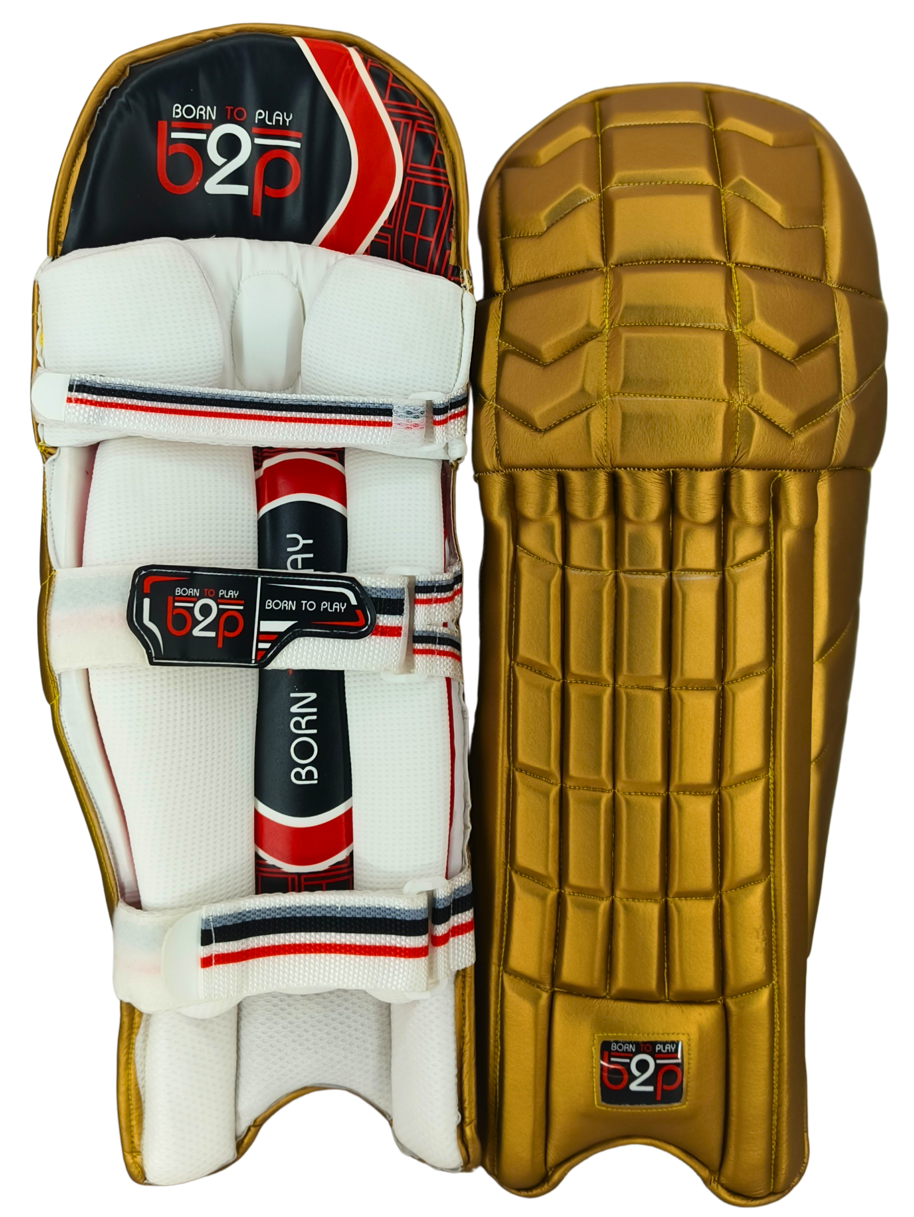 BATTING PADS - T20