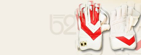 Best Cricket gloves